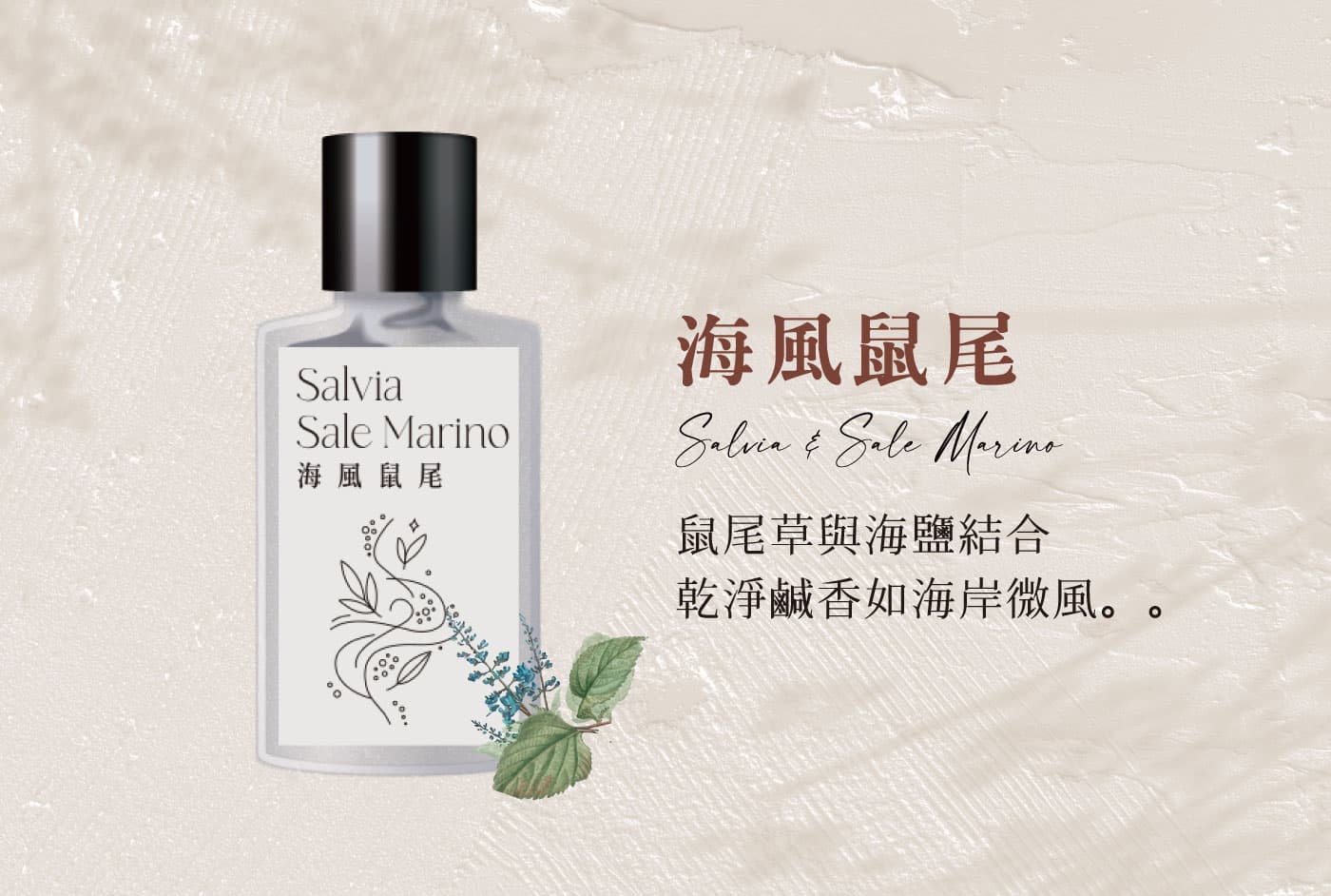 Salvia & Sale Marino｜Sage meets sea salt — a clean, saline breeze off the coast